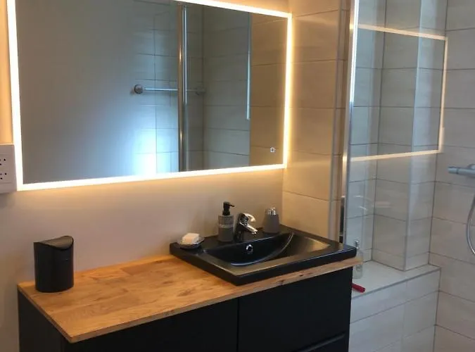 Apartment L'oeil De Colmar